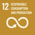 Icona ufficiale UN Sustainable Development Goal 12 · Responsible Consumption