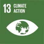 Icona ufficiale UN Sustainable Development Goal 13 · Climate Action
